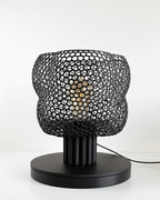 Mesh Lamp