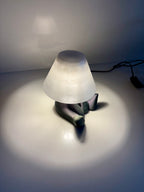 Shy Lamp